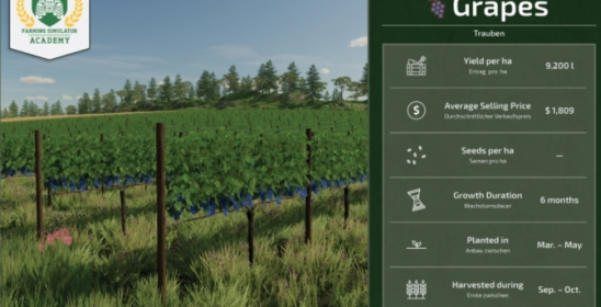 Что нужно, чтобы выращивать виноград в Farming Simulator 22