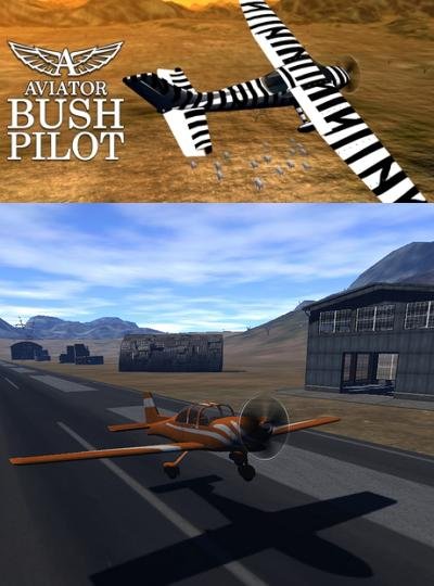 Авиатор aviator game 2 aviator. Aviator - Bush Pilot. Aviator игра. Авиатор игра фото. Скрин игры Авиатор.